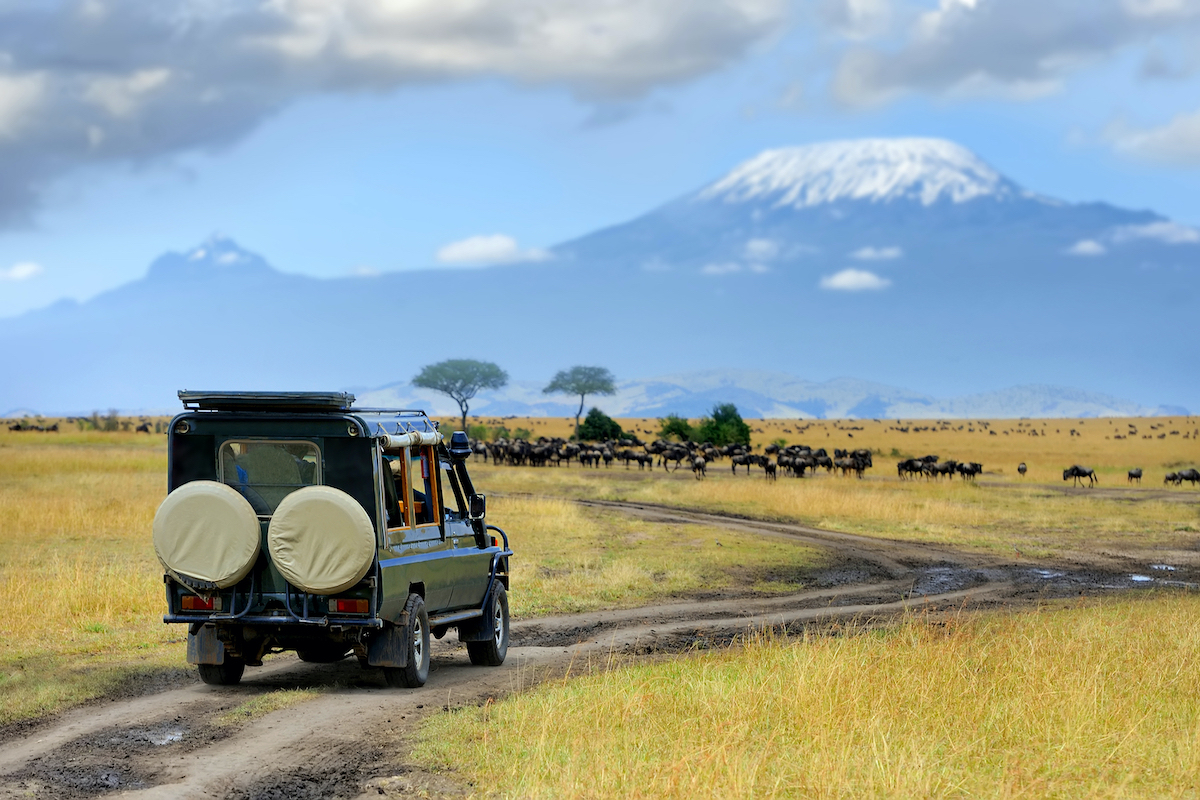 migliori tour operator safari africa